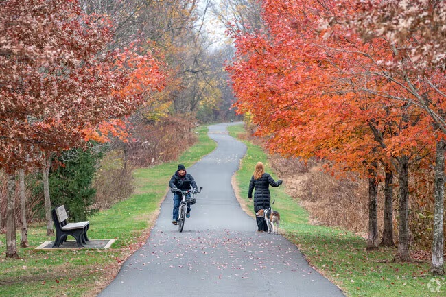 Autumn trail photograph supplied by Jennifer Sirkowa